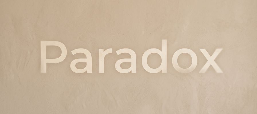 Paradox - der Workshop